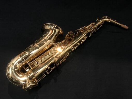 SAXO ALTO SELMER II - Imagen 3